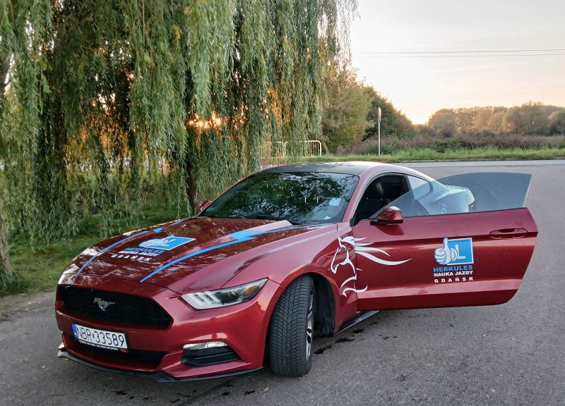 Zdjęcie na okładce dla OSK HERKULES GDAŃSK